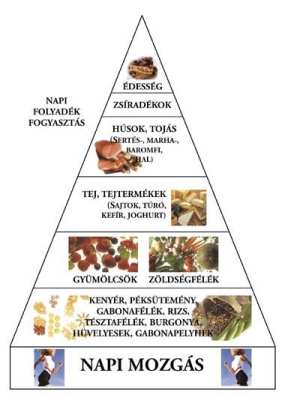 piramis meghatározza a zsírvesztést)